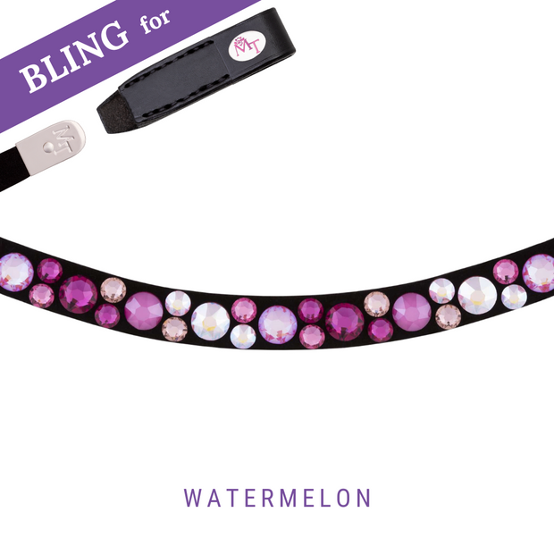 Watermelon Bling Swing