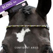 Confident Aries Browband Bling Classic