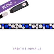 Creative Aquarius Browband Bling Classic