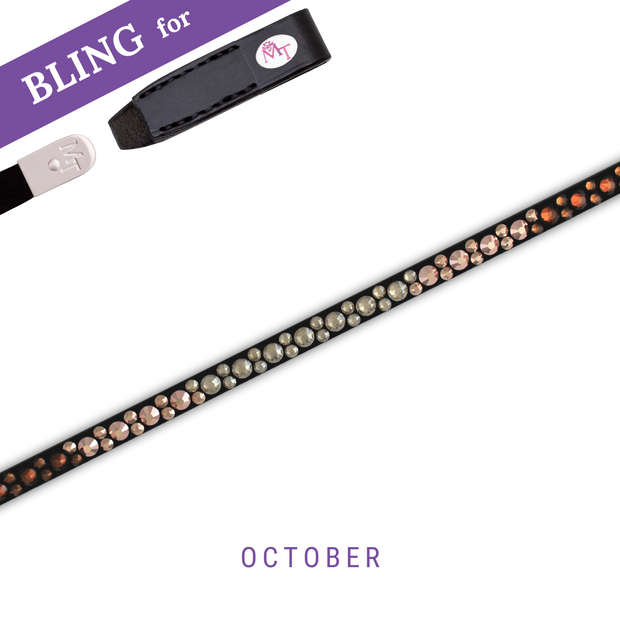 Barbossas Secret Browband Bling Classic