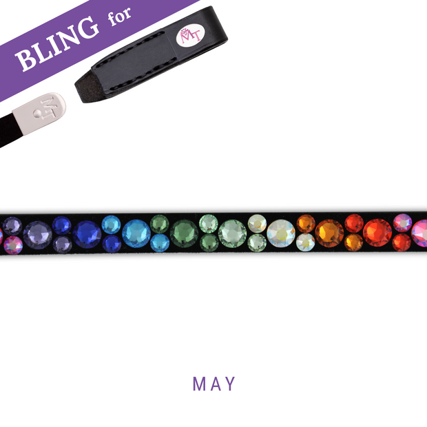 Barbossas Secret Browband Bling Classic