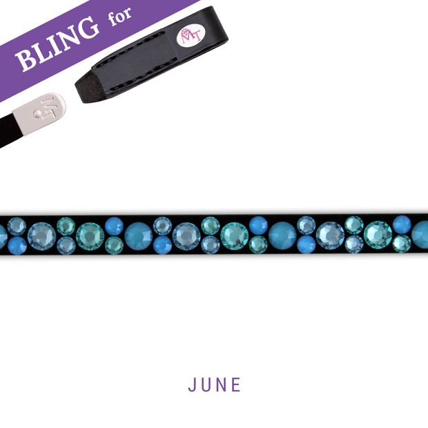 Barbossas Secret Browband Bling Classic