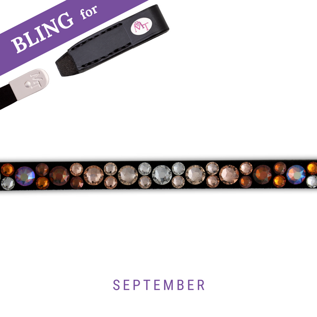 Barbossas Secret Browband Bling Classic