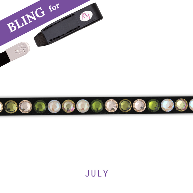 Barbossas Secret Browband Bling Classic