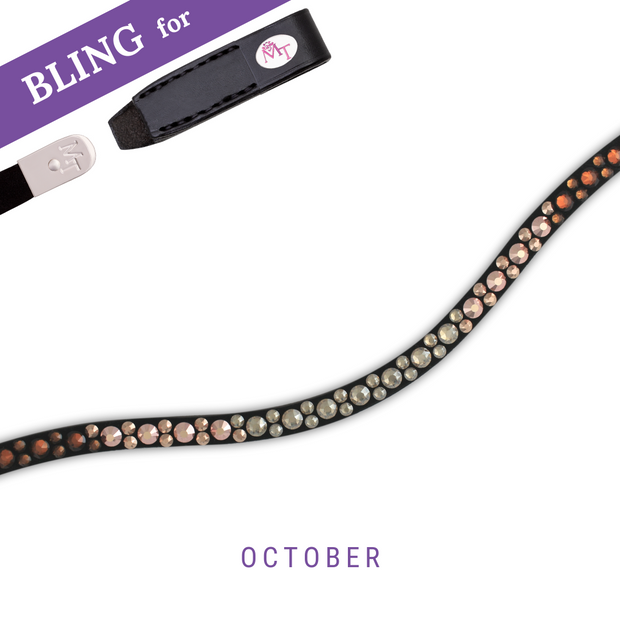 Barbossas Secret Browband Bling Swing