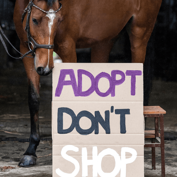 Adopt don`t Shop Patch caramel