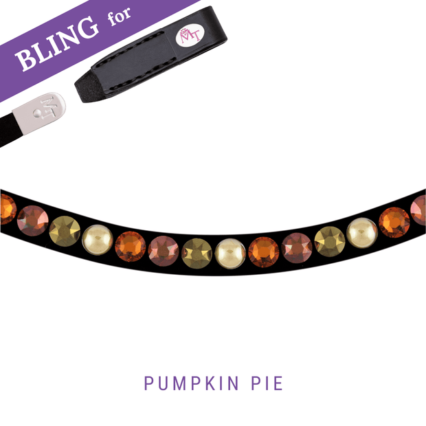 Pumpkin Pie Browband Bling Swing